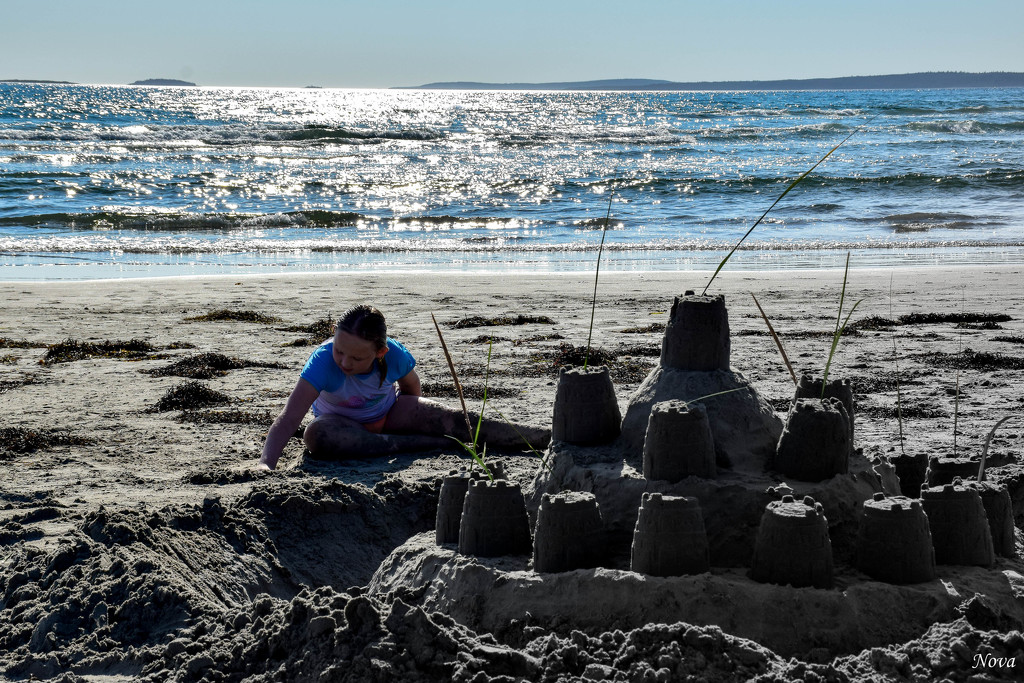 My sand castle building buddy. by novab