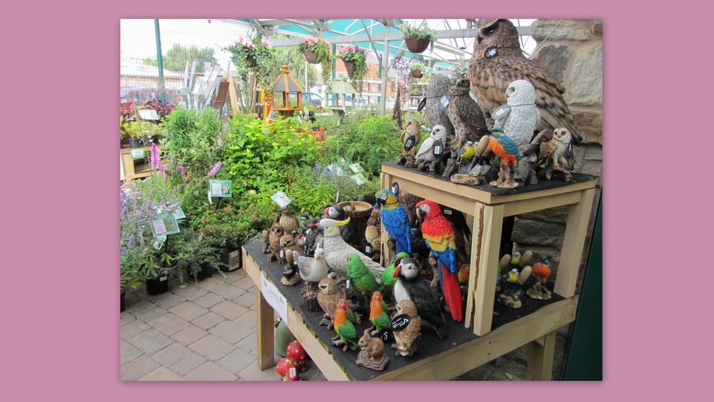 The Garden Centre at Oswaldtwistle Mills. by grace55