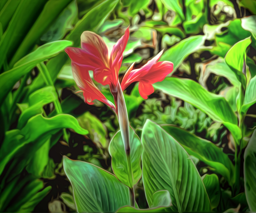 Rainforest Flower by joysfocus