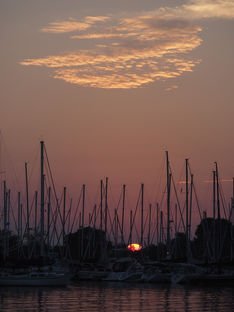 Sunrise at the Marina by selkie
