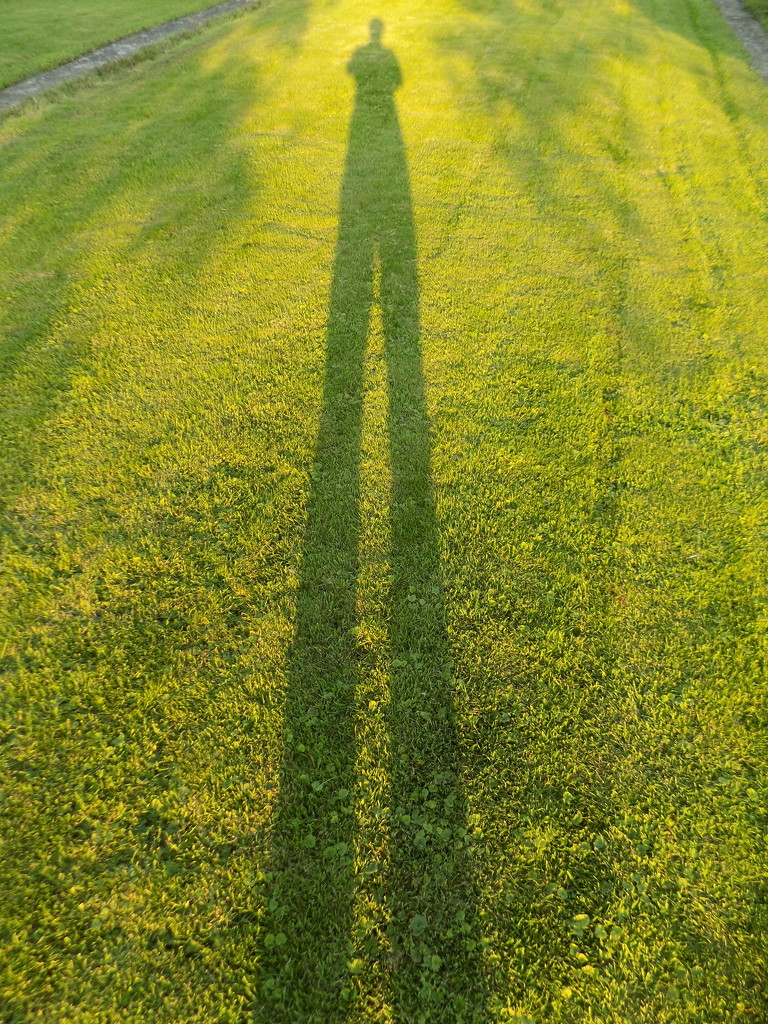 Long legged shadow by flowerfairyann