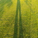 Long legged shadow by flowerfairyann
