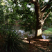 Quiet spot on the Obi Obi creek, Maleny by jeneurell