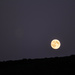 full moon #79 by ricaa