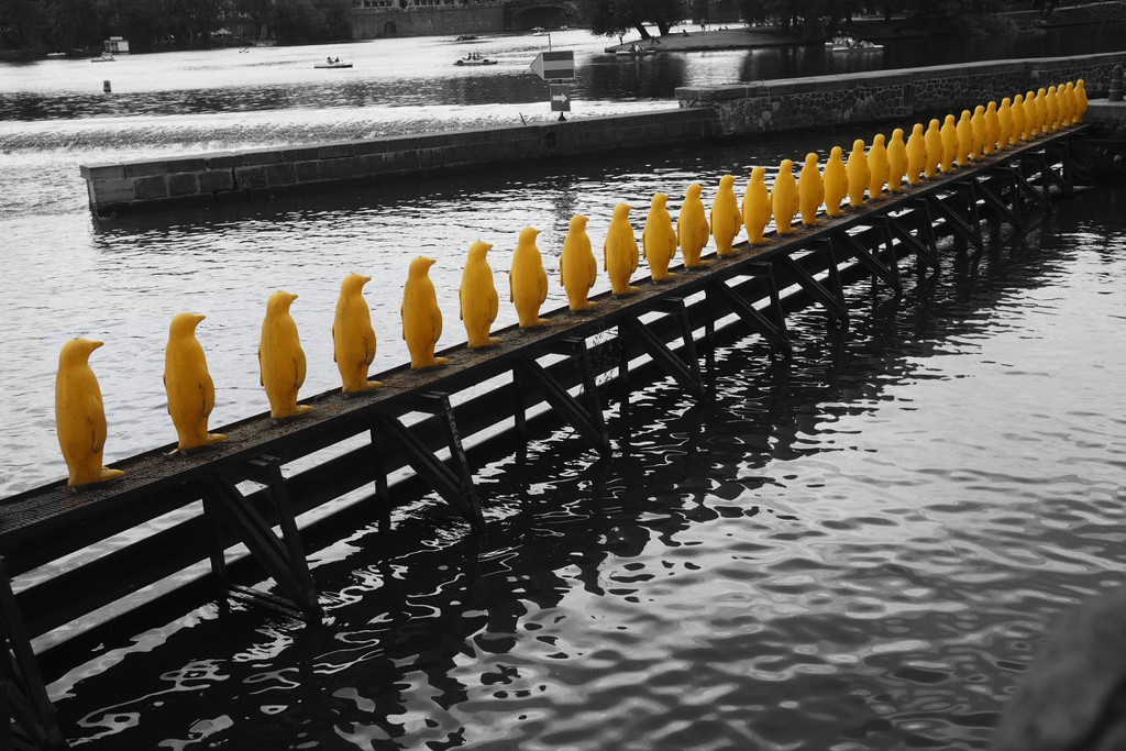 Yellow Penguins in Prague by bizziebeeme