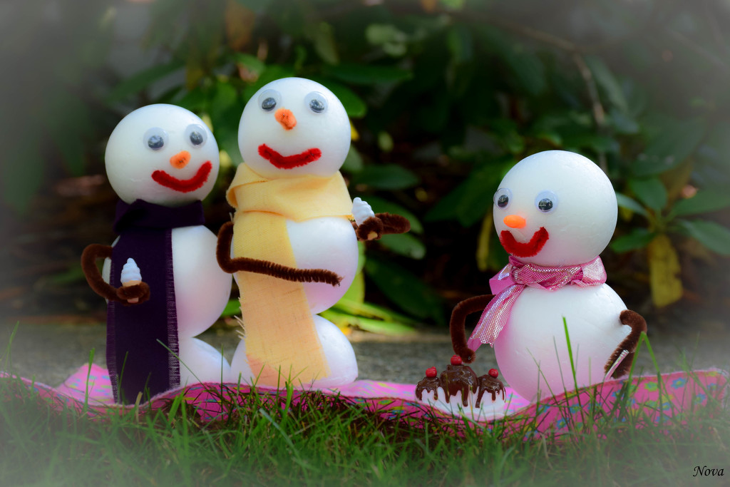 Summer vacation for the Snow Family - Image #11 by novab