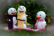 8th Sep 2015 - Summer vacation for the Snow Family - Image #11