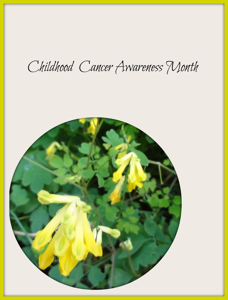 Childhood Cancer Awareness Month  by beryl