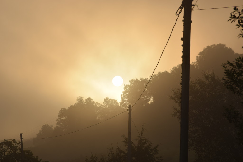 misty dawn by christophercox