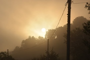 8th Sep 2015 - misty dawn