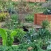 Garden Guard Cat by wilkinscd