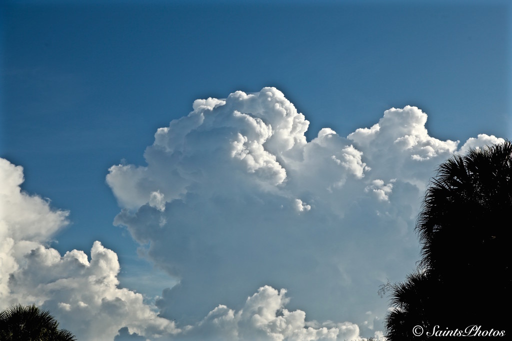 Cloud.. by stcyr1up