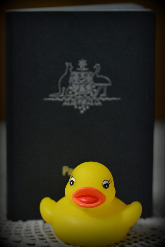 Yellow Duck Will Travel DSC_9446 by merrelyn