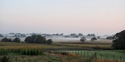 9th Sep 2015 - Early morning mist