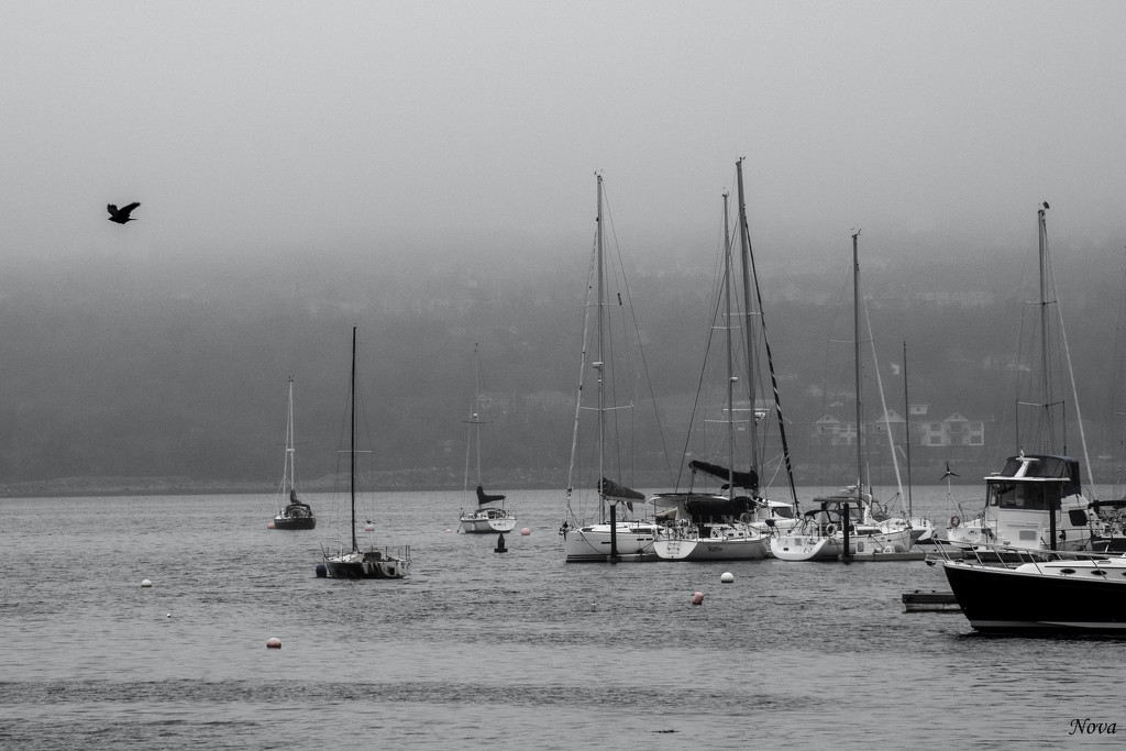 Boats in the basin by novab