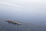 9th Sep 2015 - Rowing Regatta