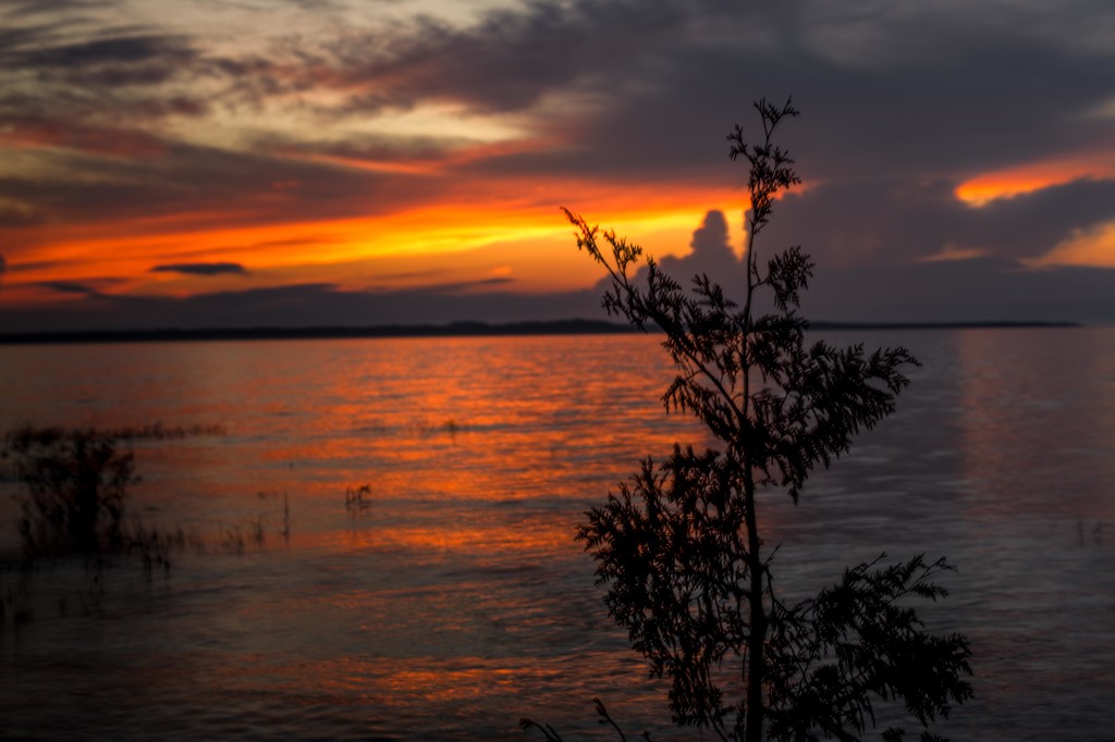 Beaver Island Sunset by taffy