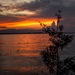 Beaver Island Sunset by taffy