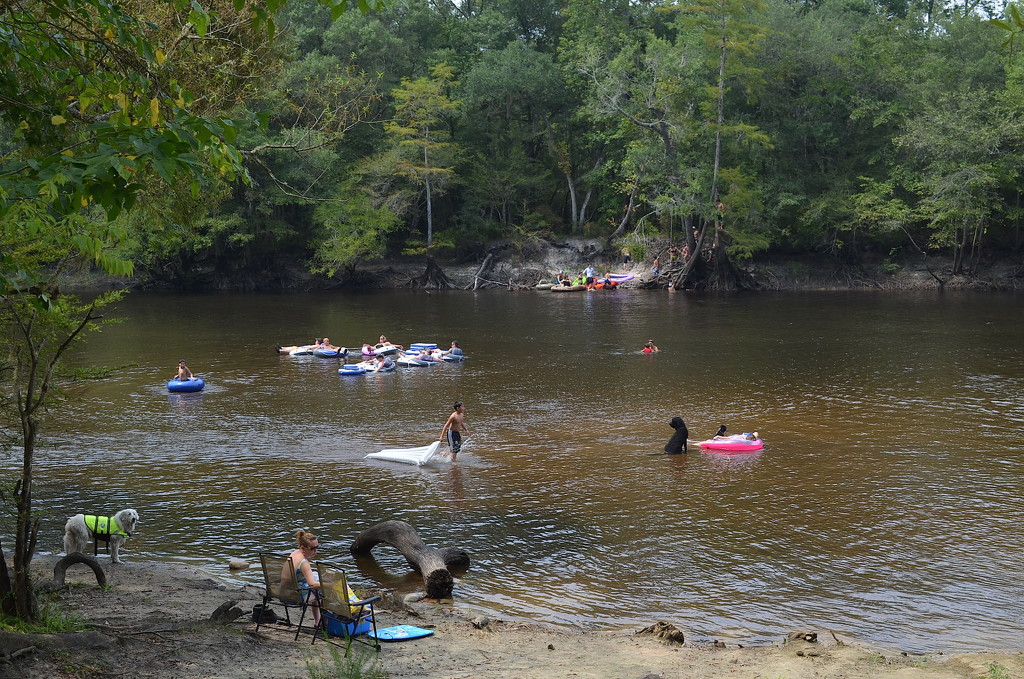 Edisto River at Givhans Ferry State Park, Dorchester County, South Carolina by congaree