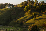 9th Sep 2015 - Afternoon light, Montville