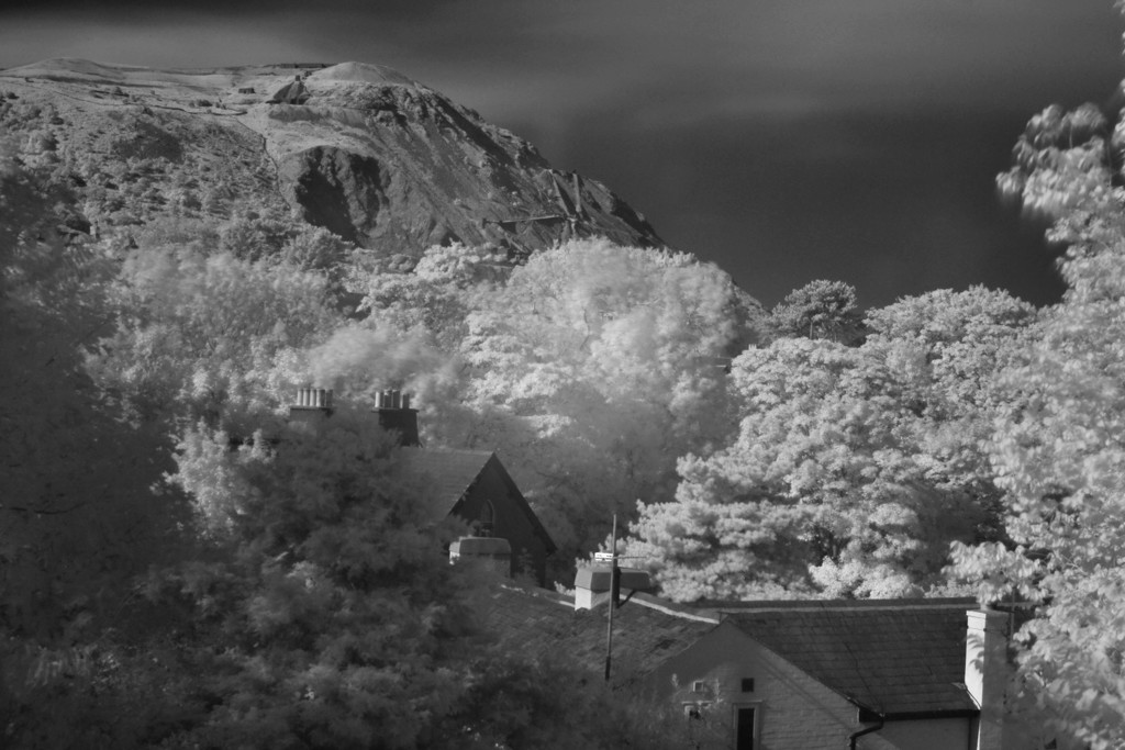 View from my window (taken with 950Nm IR filter) by ziggy77