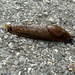 Slug Bug by wilkinscd
