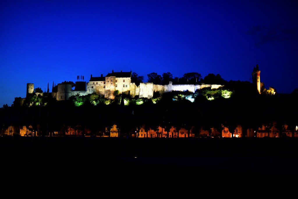 NF-SOOC-2015 Day 10: Château de Chinon by vignouse