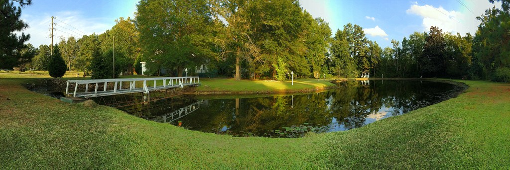 Pond Panorama by homeschoolmom