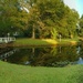Pond Panorama by homeschoolmom