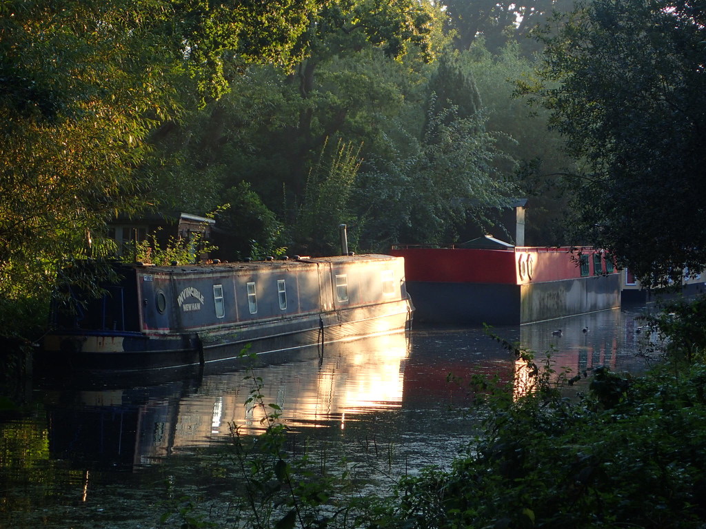 Morning along the canal by mattjcuk