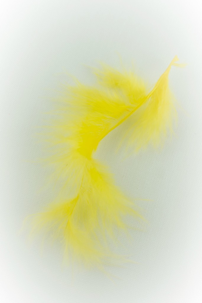 monthofyellow feather by jackies365