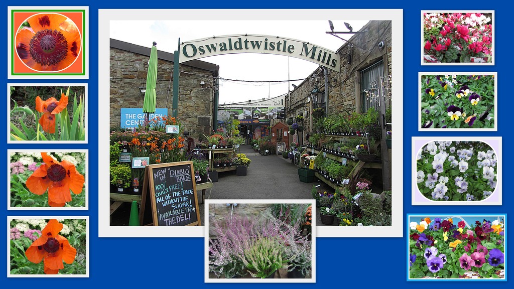 Oswaldtwistle Mills and Garden Centre. by grace55