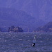 Wind Surfer Columbia Gorge by joysabin