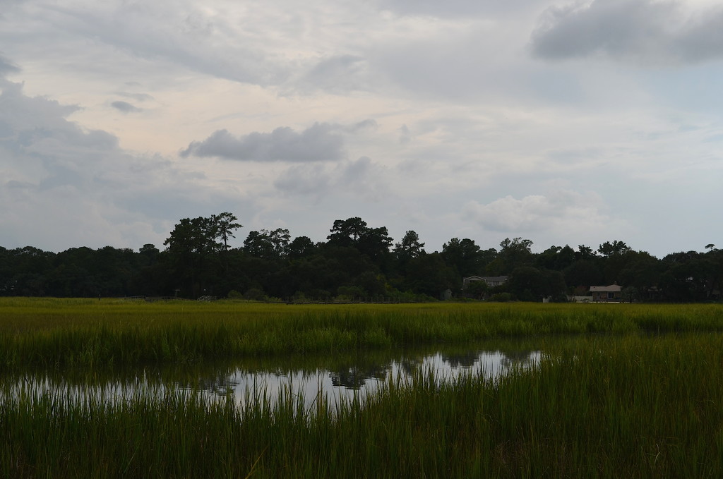 Marsh and sky, Charles Towne Landing State Historic Site, Charleston, SC by congaree