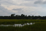 12th Sep 2015 - Marsh and sky, Charles Towne Landing State Historic Site, Charleston, SC