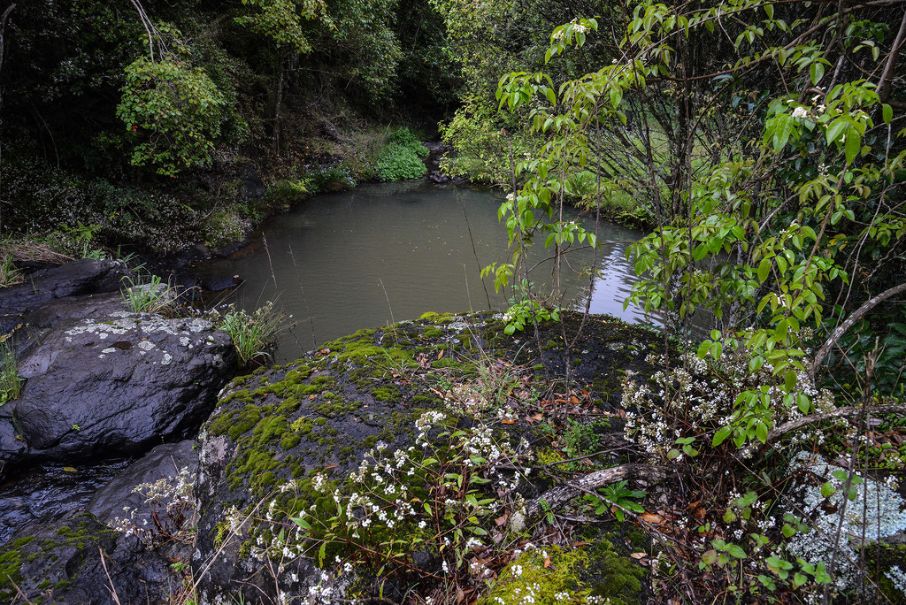 The waterhole, Montville by jeneurell