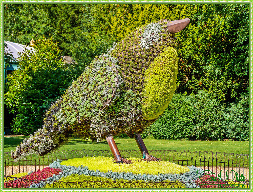 Floral Bird Statue by The Aviary, Waddesdon Manor by carolmw