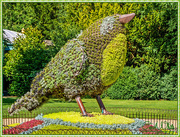 12th Sep 2015 - Floral Bird Statue by The Aviary, Waddesdon Manor