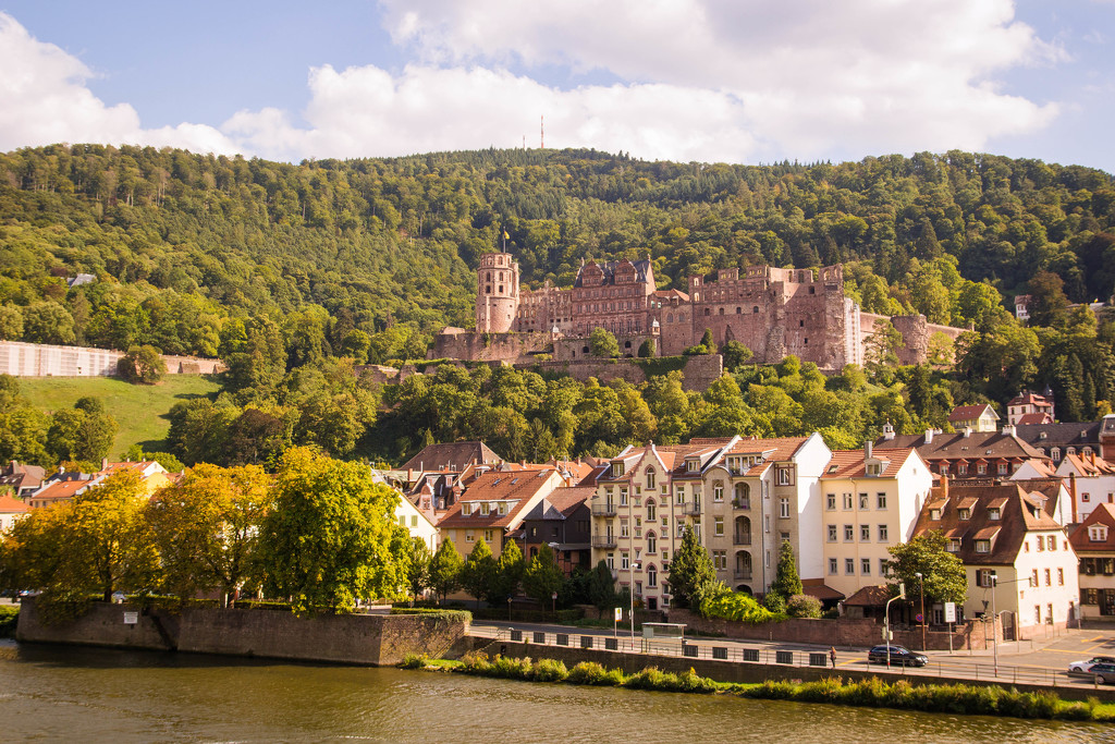 Heidelberg #92 by ricaa