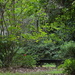 Green peace, Magnolia Gardens, Charleston, SC by congaree