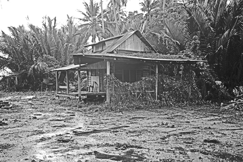 Malay abandoned homestead by ianjb21