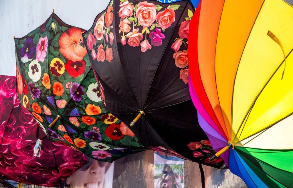 Floriade umbrellas by pusspup
