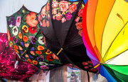 13th Sep 2015 - Floriade umbrellas