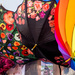 Floriade umbrellas by pusspup