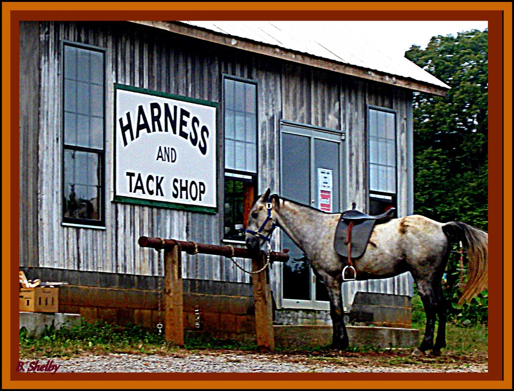 Amish Tact Shop by vernabeth
