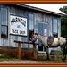 Amish Tact Shop by vernabeth