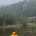 Yellow Duck at Sarawak Cultural Village DSC_9903 by merrelyn
