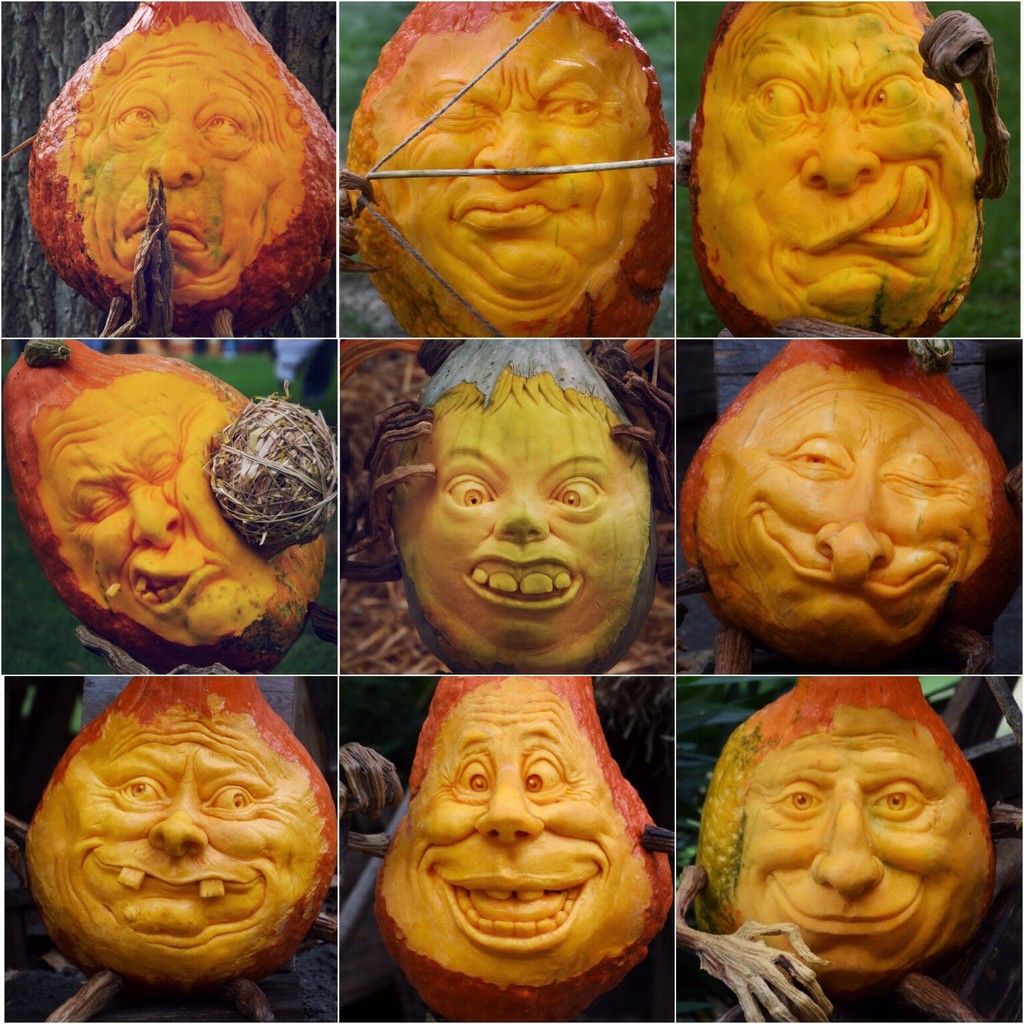 Pumpkin Personalities  by vera365