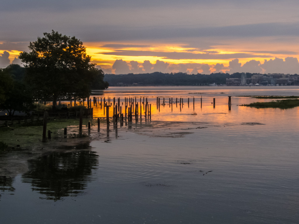 Sunrise over Potomac at Cameron Run by jbritt