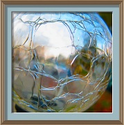 19th Nov 2010 - Through a glass lightly